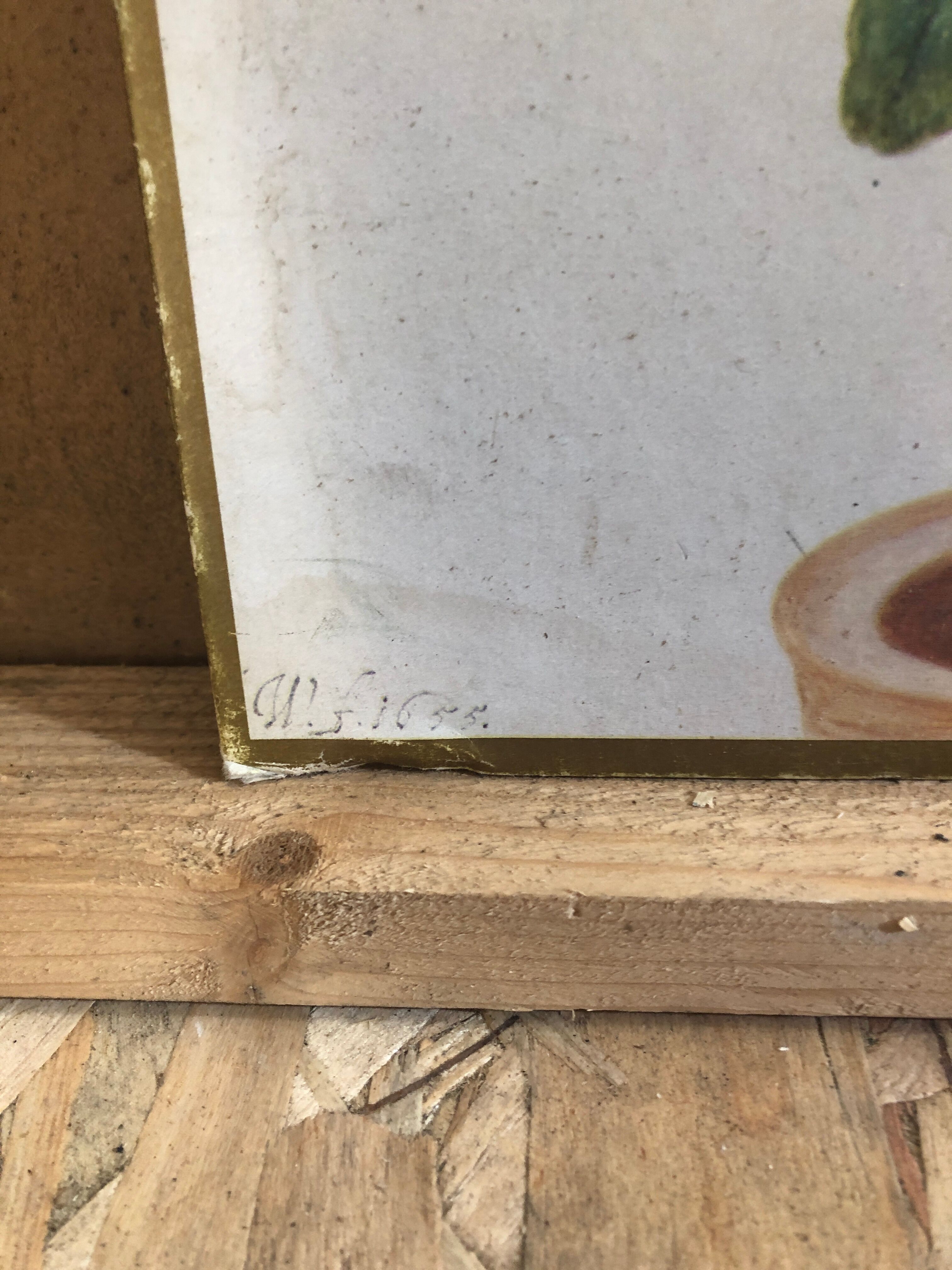 Old botanical board bernard carant paris vintage flowers