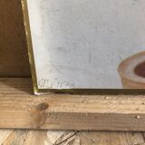 Old botanical board bernard carant paris vintage flowers