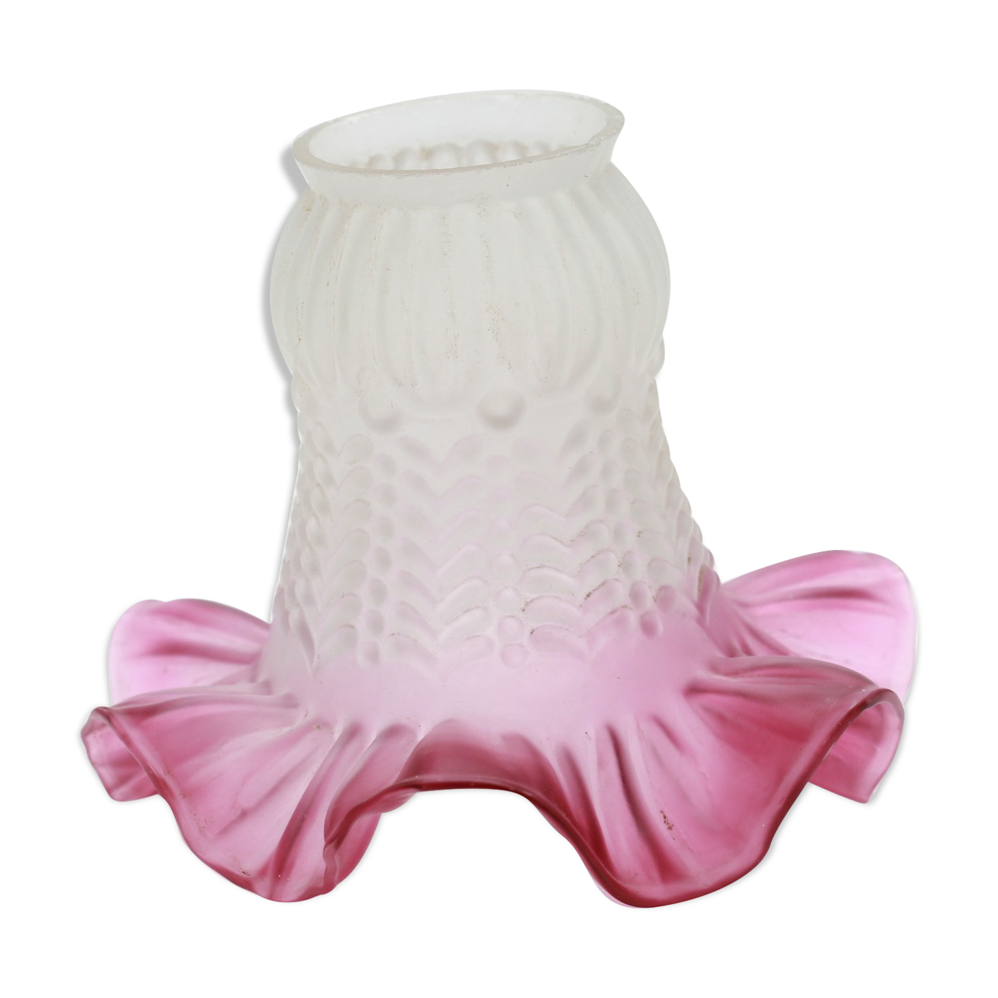 Purple tulip glass globe