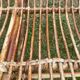 3-seater rattan bench from the 70s