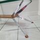 Coffee table with compass legs from the 60s