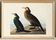 Affiche sur le Cormoran, d’après une gravure ancienne de 1827.