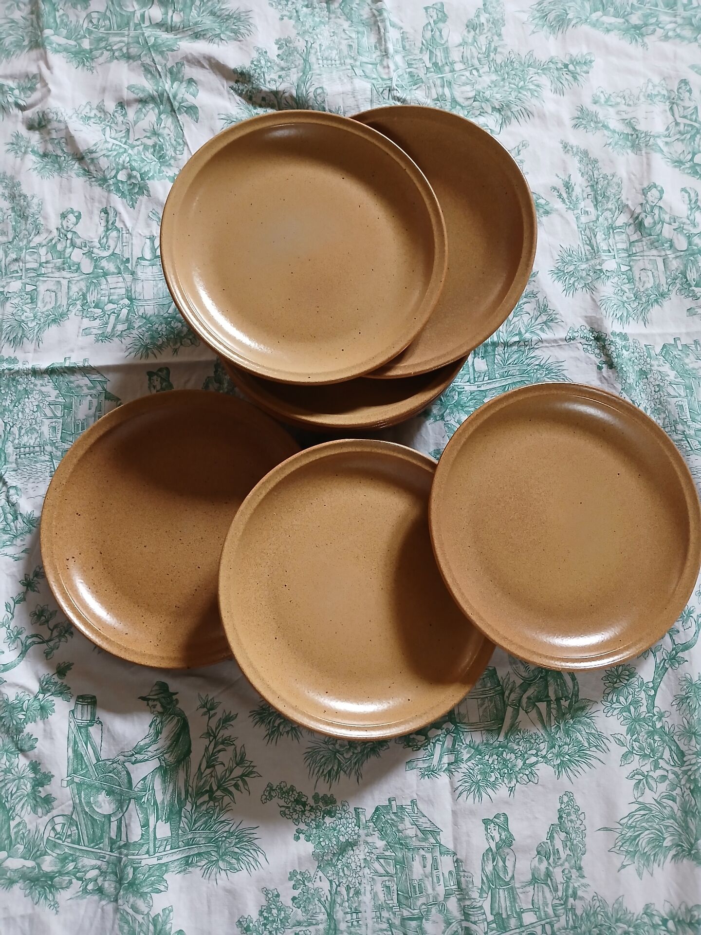 9 flat plates in Sarreguemines stoneware