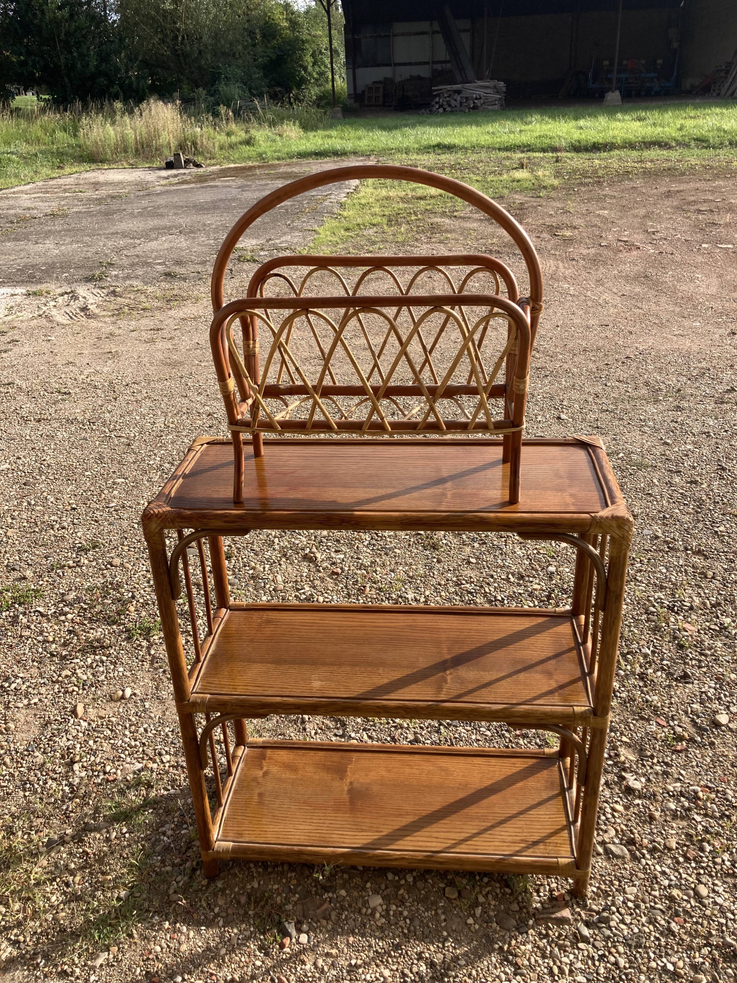 Rattan magazine door