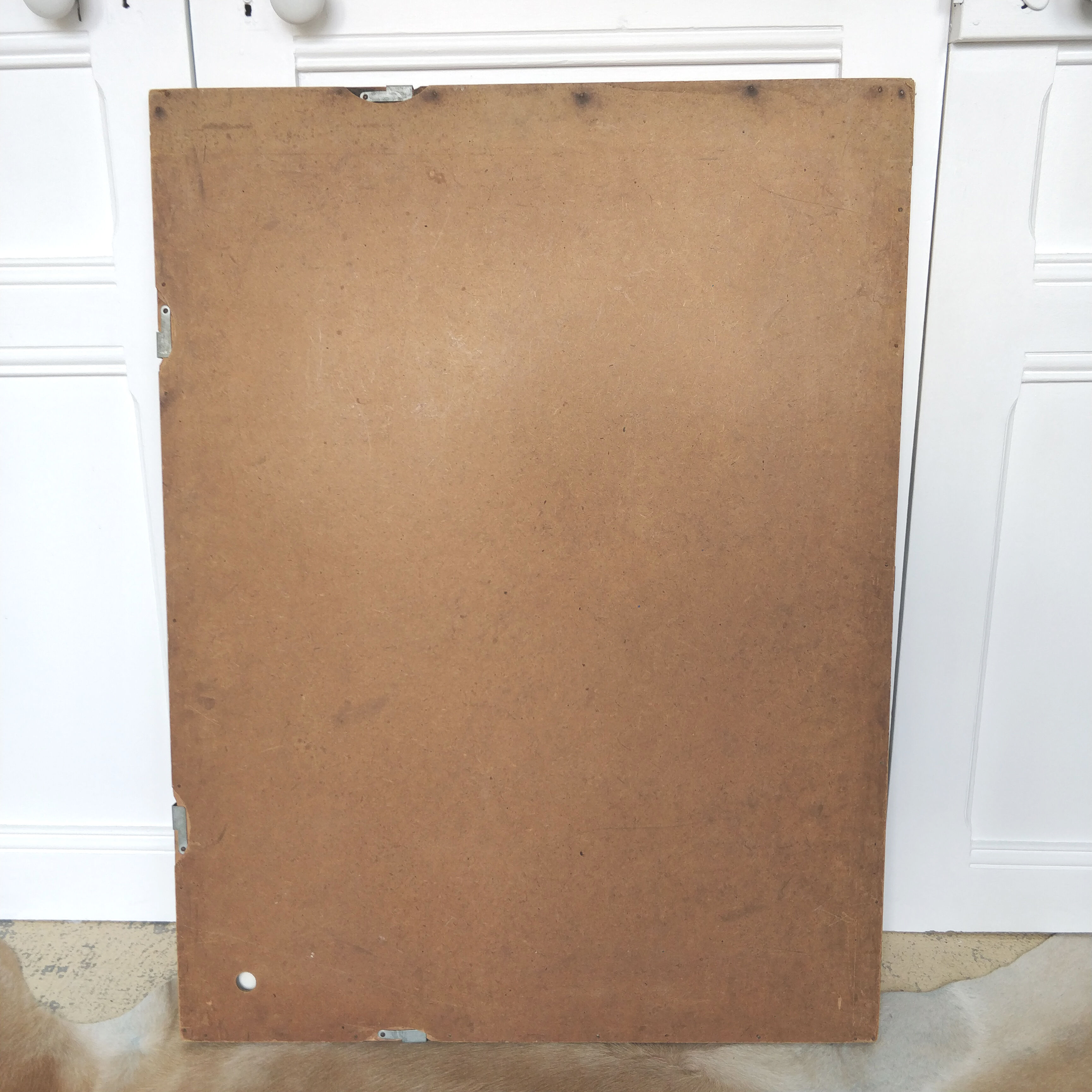 School map and wooden frame MDI Human body