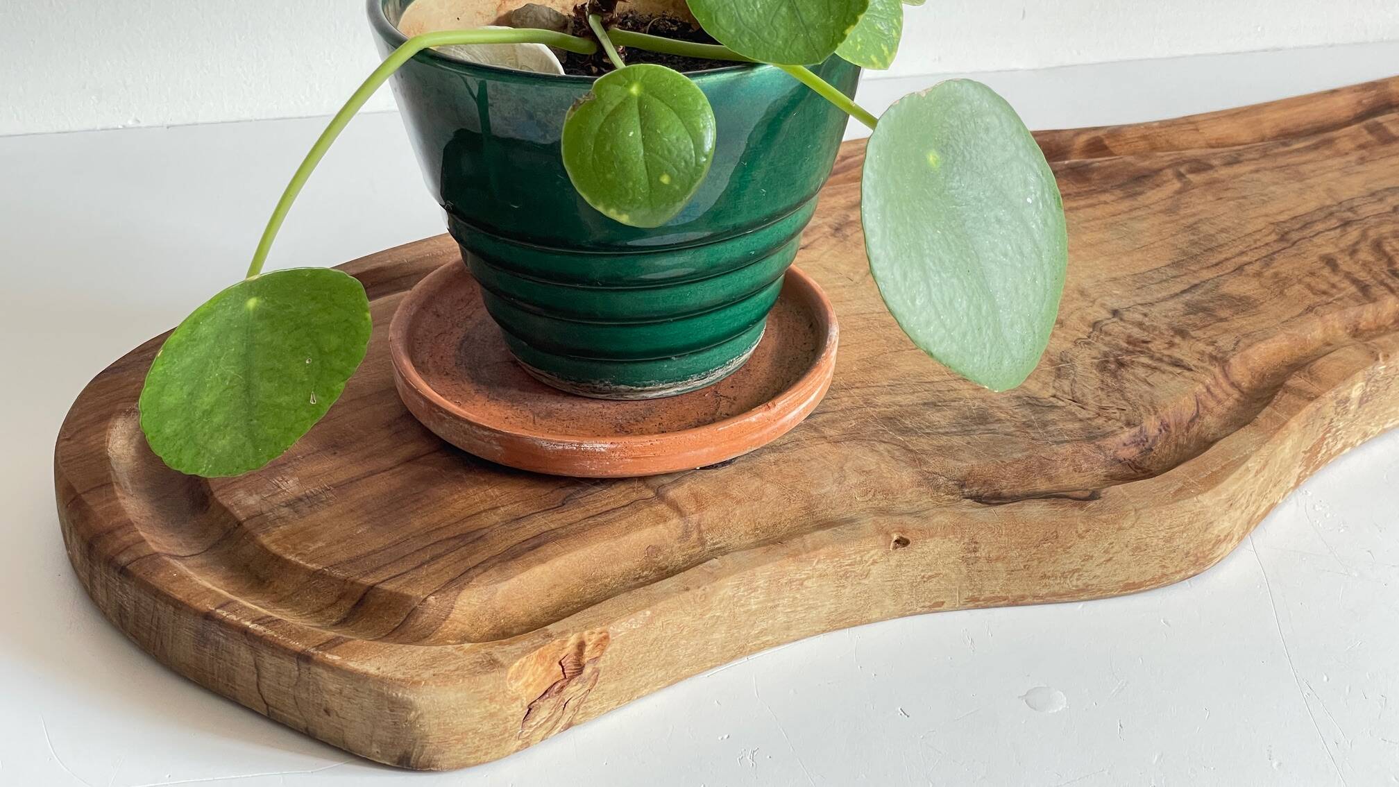 XL Vintage Olive Wood Cutting Board