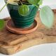 XL Vintage Olive Wood Cutting Board