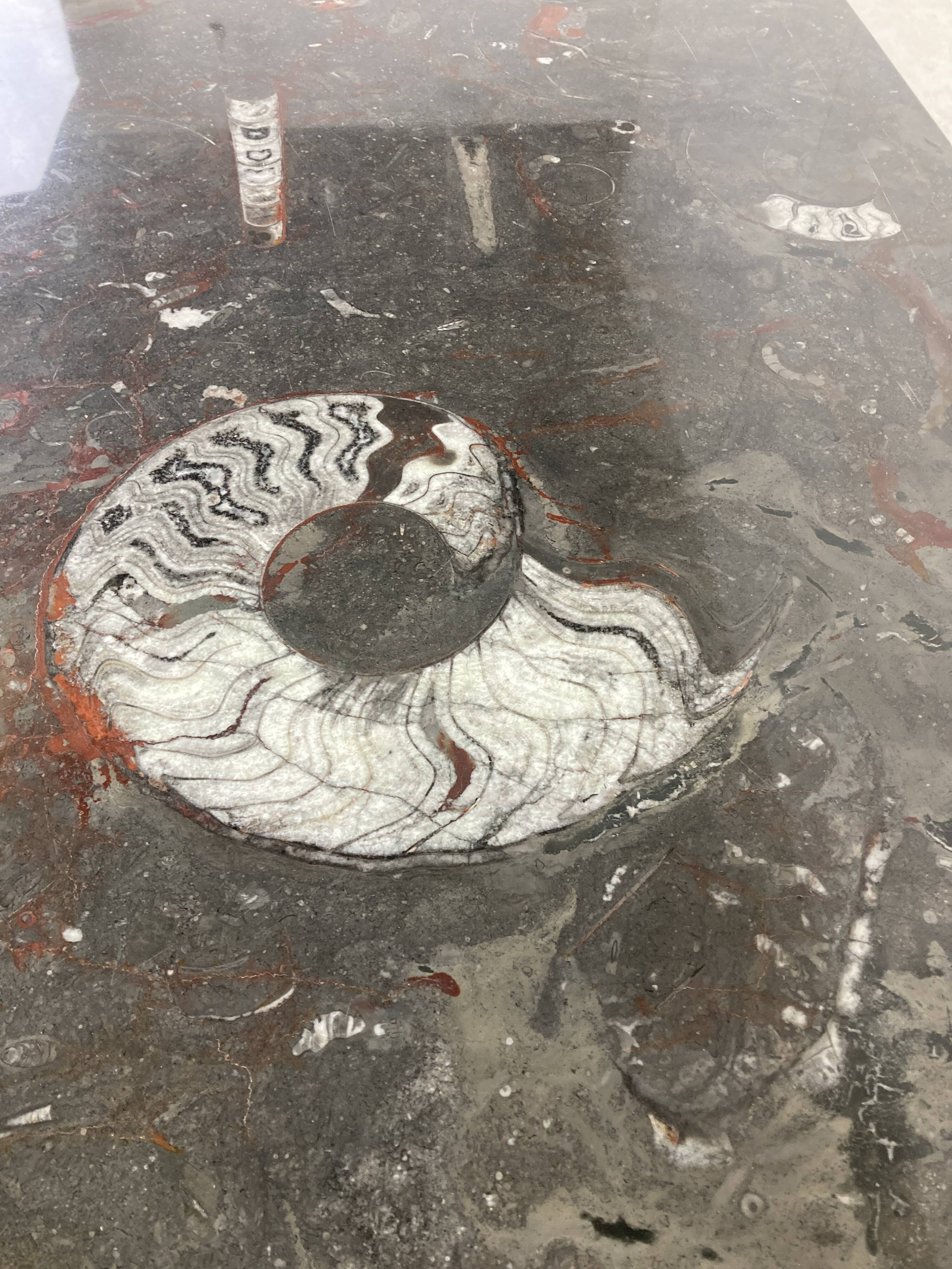 Vintage fossil stones coffee table, 1970s