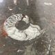 Vintage fossil stones coffee table, 1970s