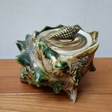 Sugar bowl made of shells in slip