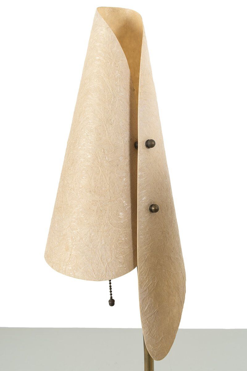 Organically Shaped Floor Lamp