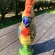 Pitcher Parrot Slip St Clement