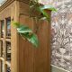 Bibliothèque en chêne - armoire vitrée