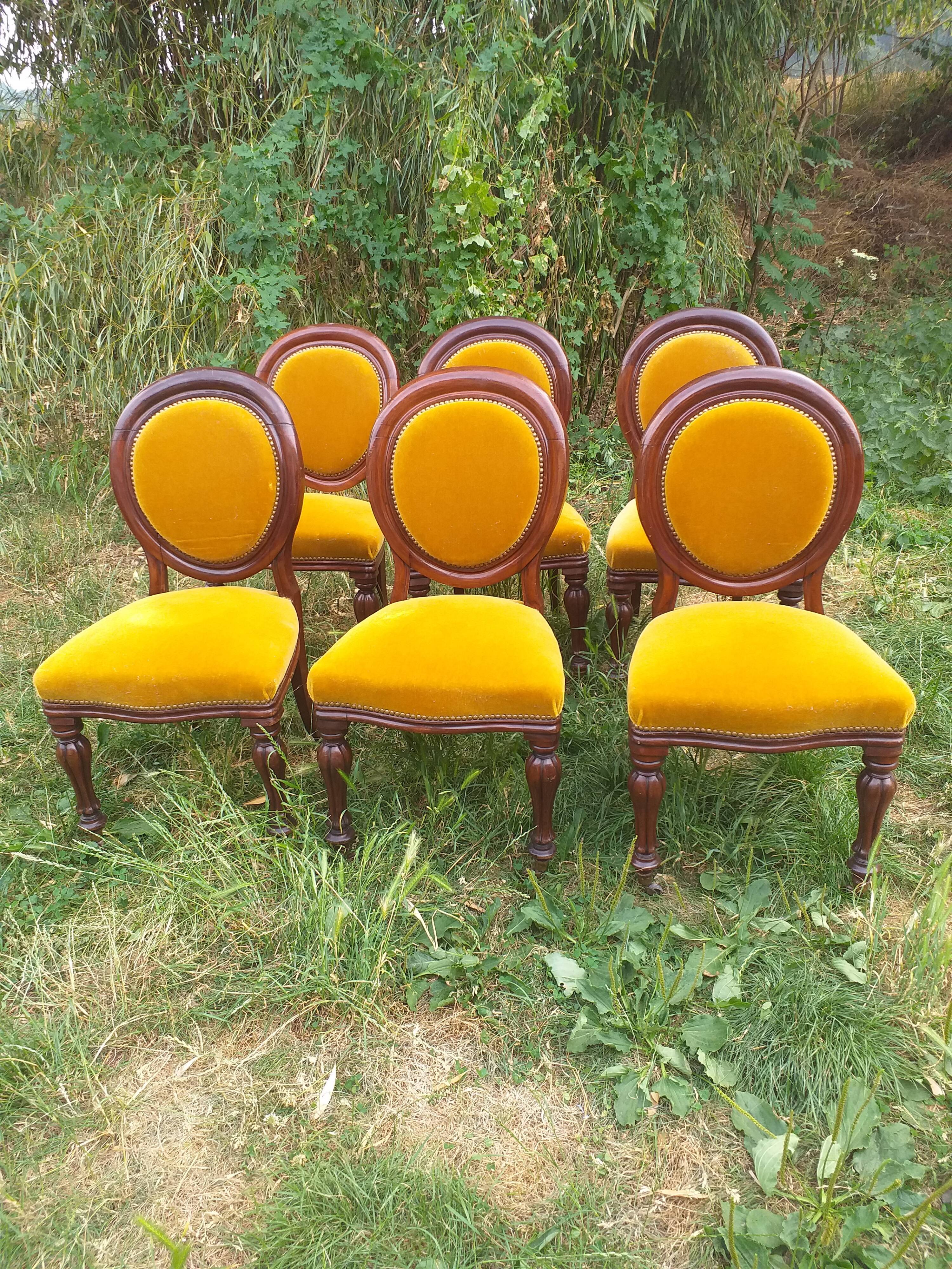 6 mahogany medaillon chairs from Louis Philippe 19th century