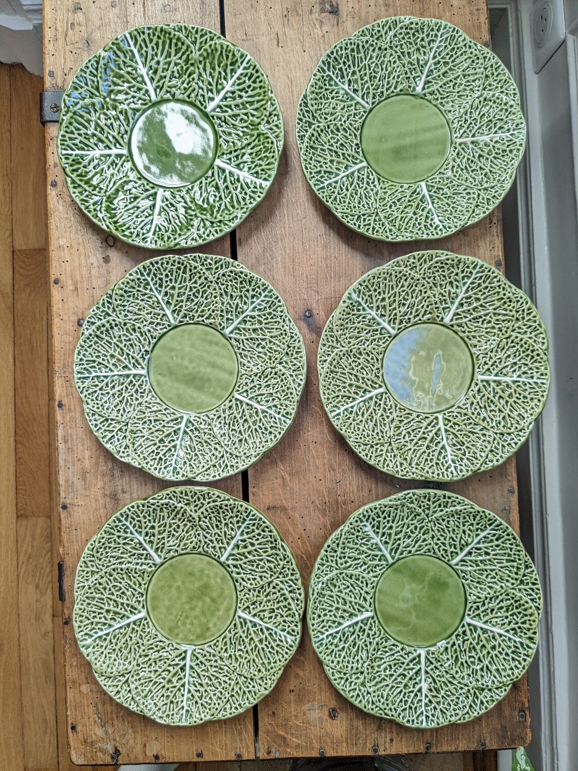 6 cabbage plates