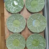 6 cabbage plates
