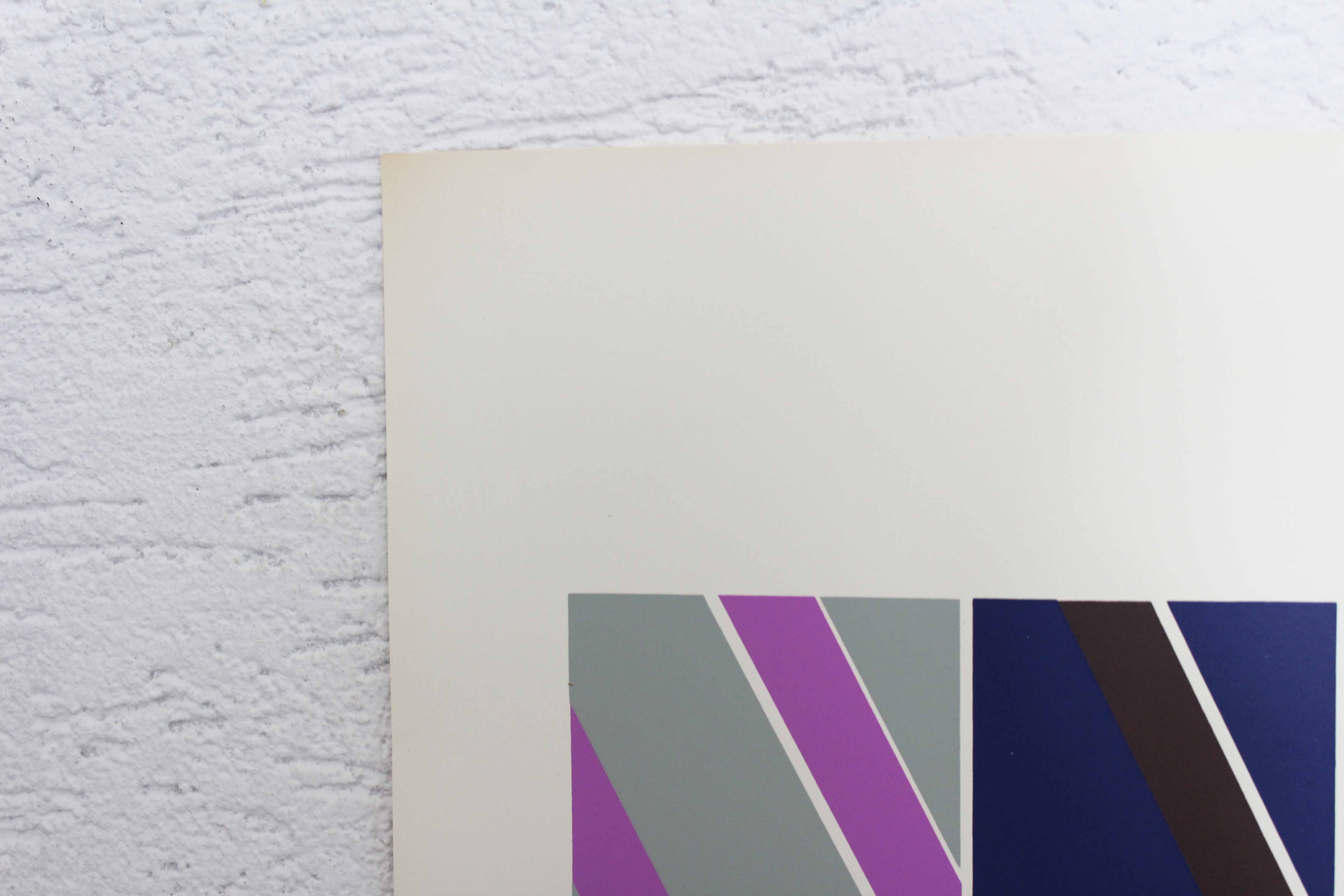 Kern Ruedi Space Age 1972 "Digonales"