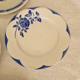 Set of 12 mismatched dinner plates