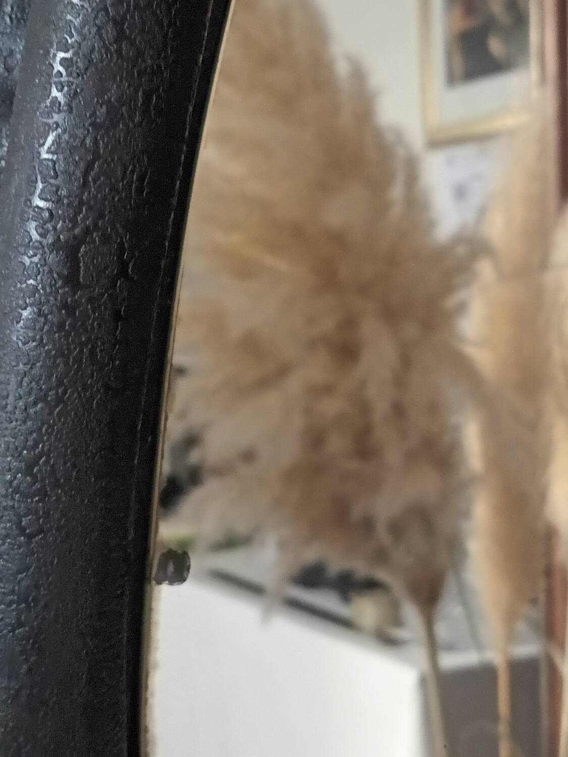 Vintage mirror on horse collar