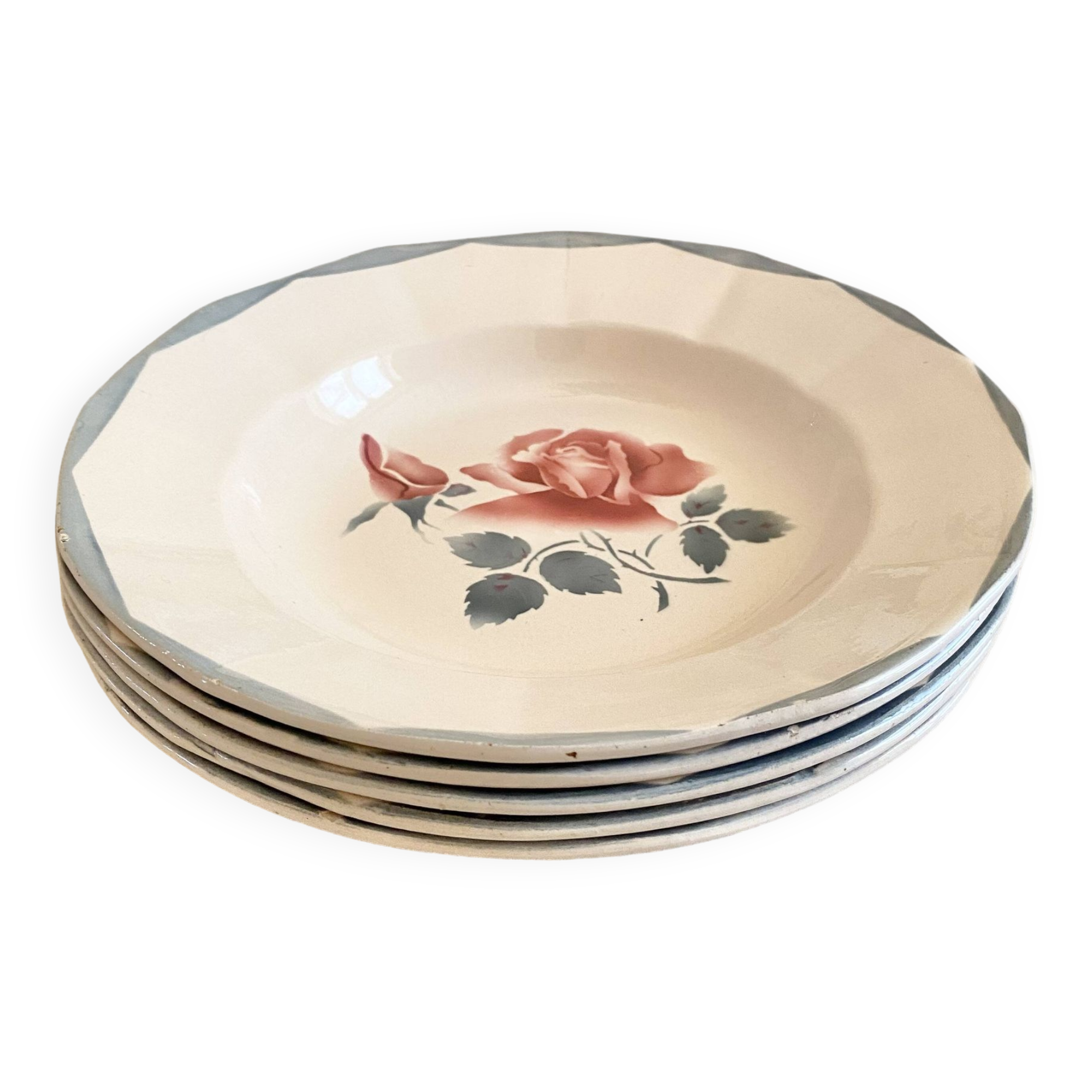 Digouin iron earth soup plates