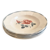 Digouin iron earth soup plates