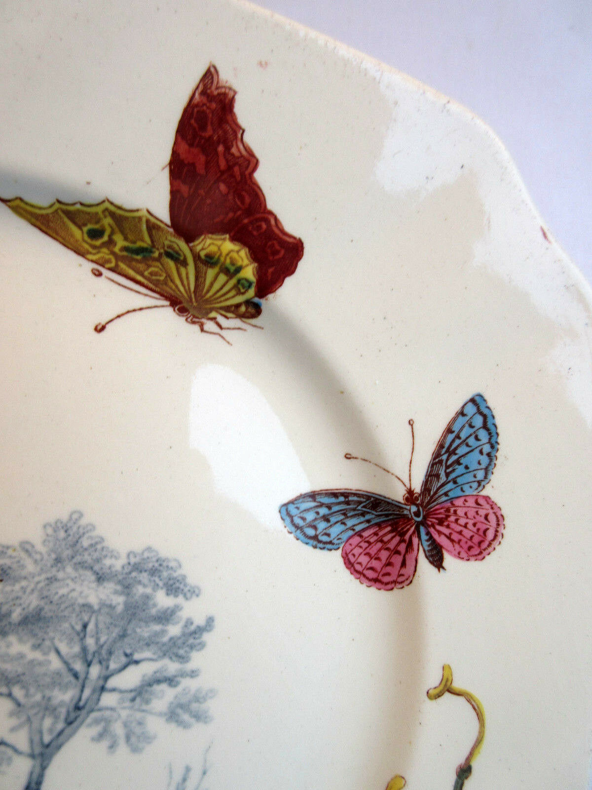 Assiette polychrome signée Kg Luneville 19ème lys et papillons