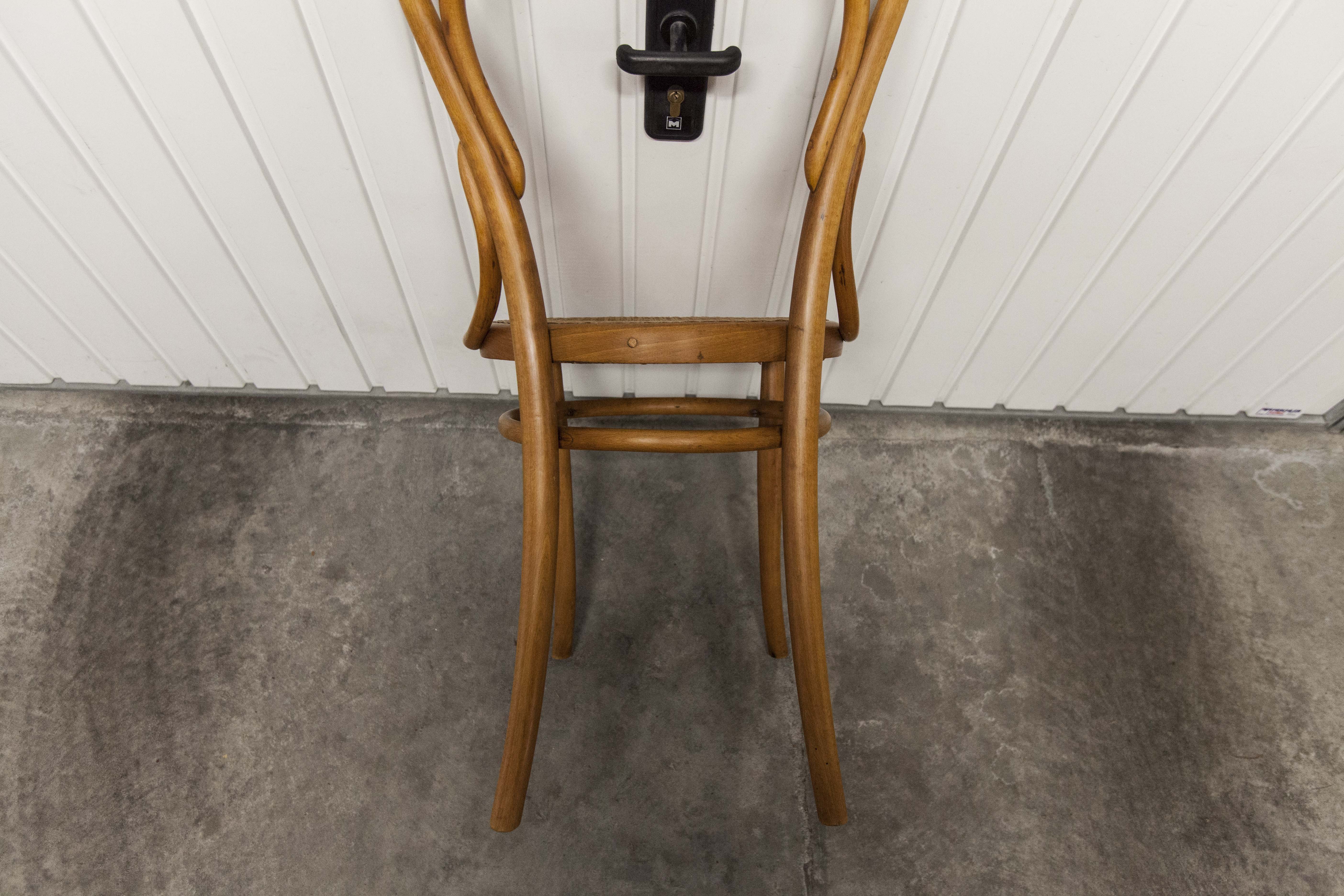 Honey coloured wicker Thonet Chair