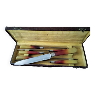 Box of 6 Art Deco "Diamond" table knives Bovine horn and stainless steel