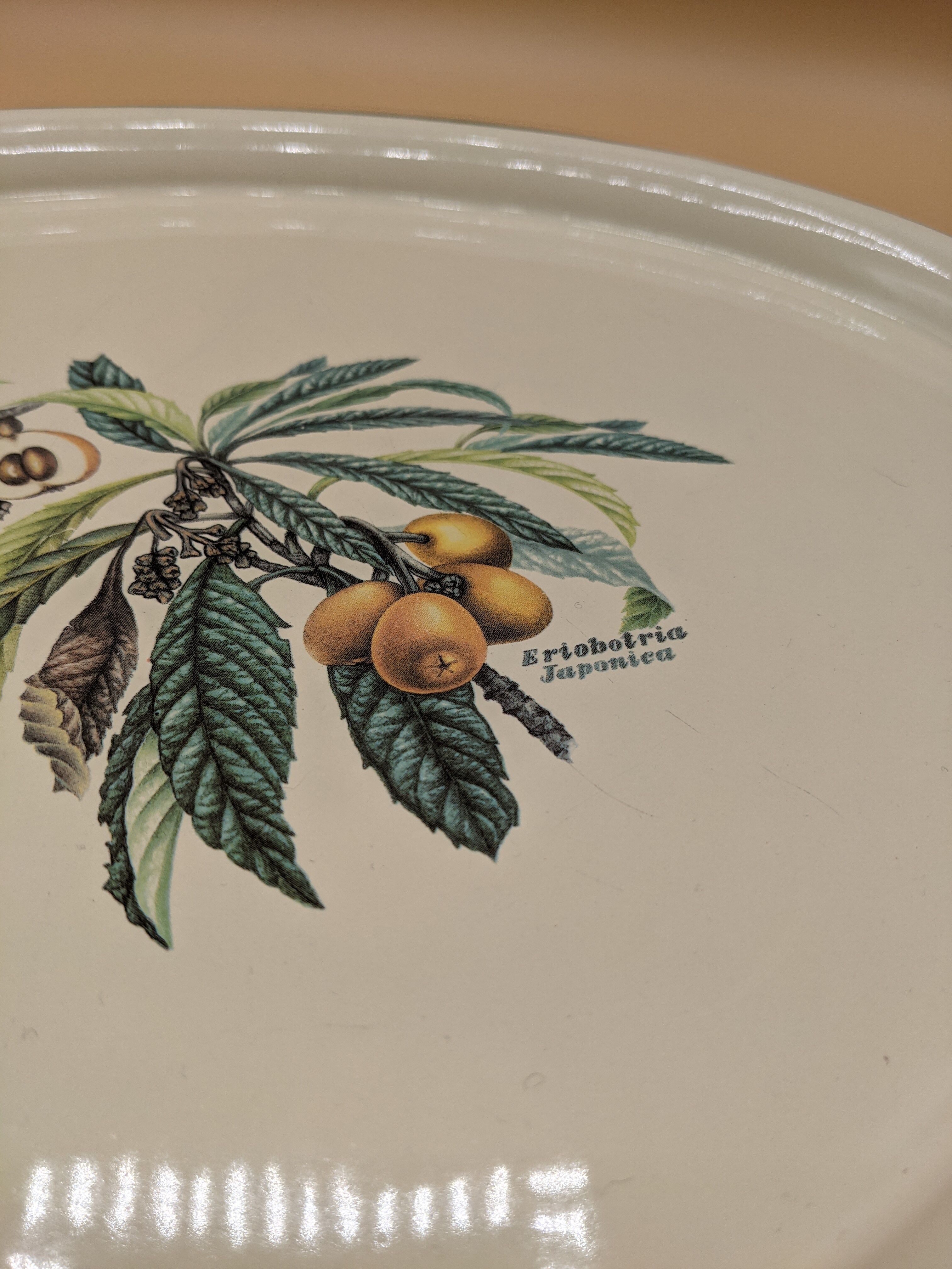 flat / vintage tray, botanical décor