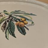 flat / vintage tray, botanical décor