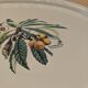 Plat plateau vintage décor botanique