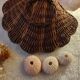 Boite coquillage vintage en osier
