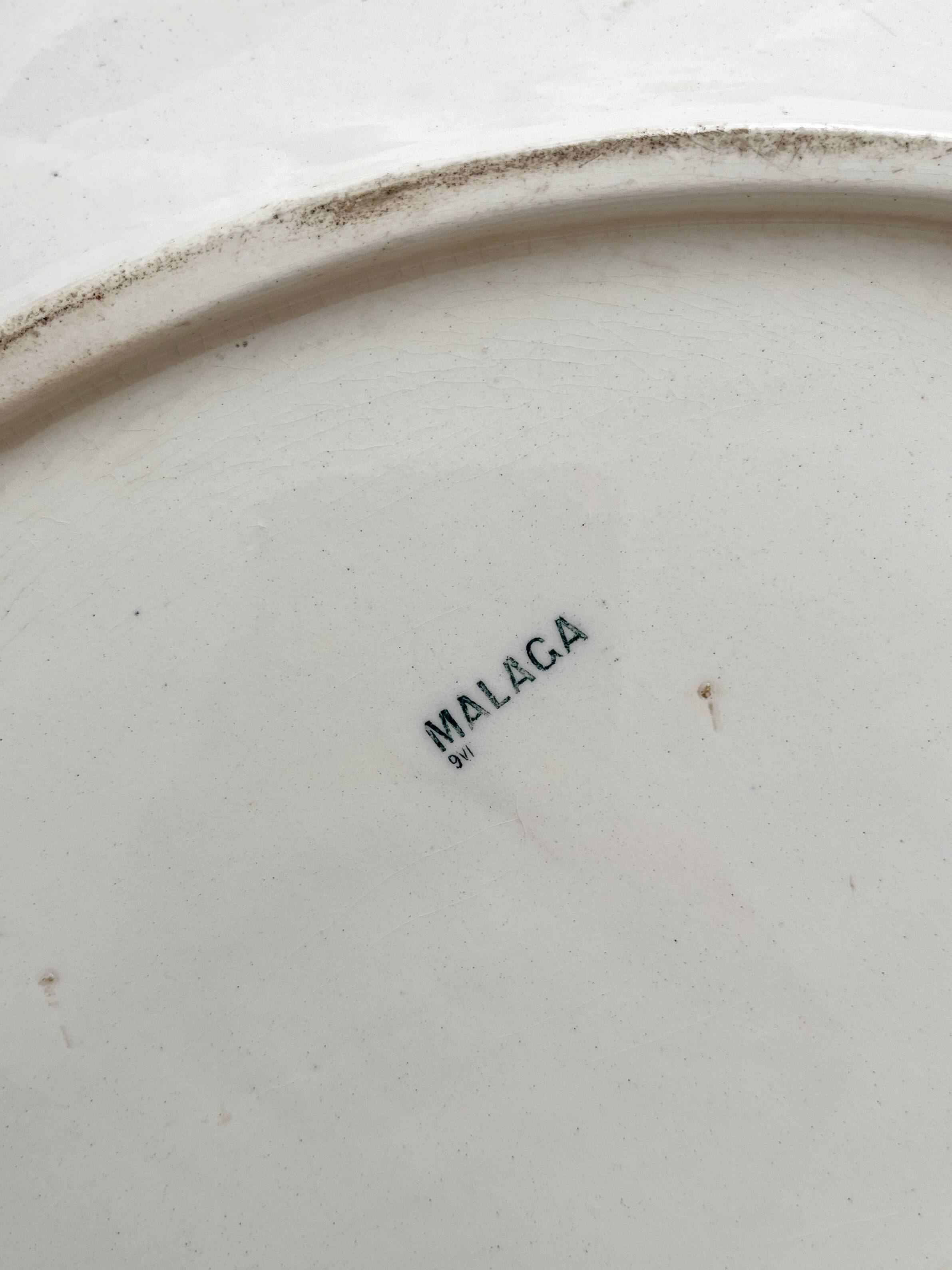 Plat ovale terre de fer fleurs oiseaux "Malaga" Petrus Regout
