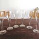 Set of 6 "Tulip" champagne glasses 25 cl