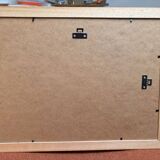 Antique Print Engraving 19th Century Framed Medical Instruments engraving Lorenzo