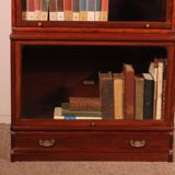 Globe Wernicke Library in Mahogany with 3 large elements and a projection.