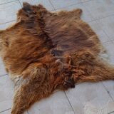 Pony skin
