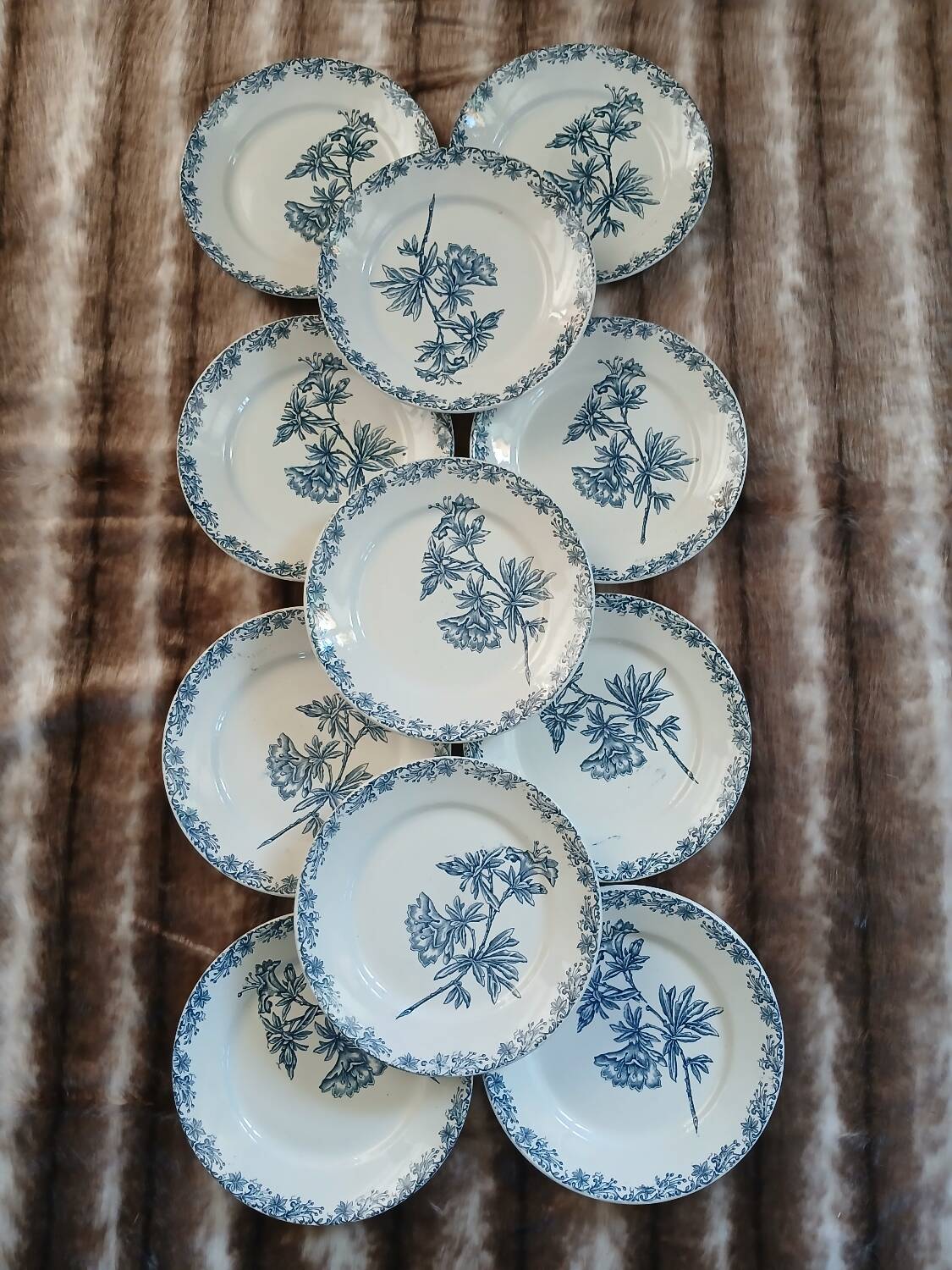 11 antique ironstone plates "Flora"