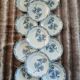 11 antique ironstone plates "Flora"