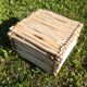African tabouret
