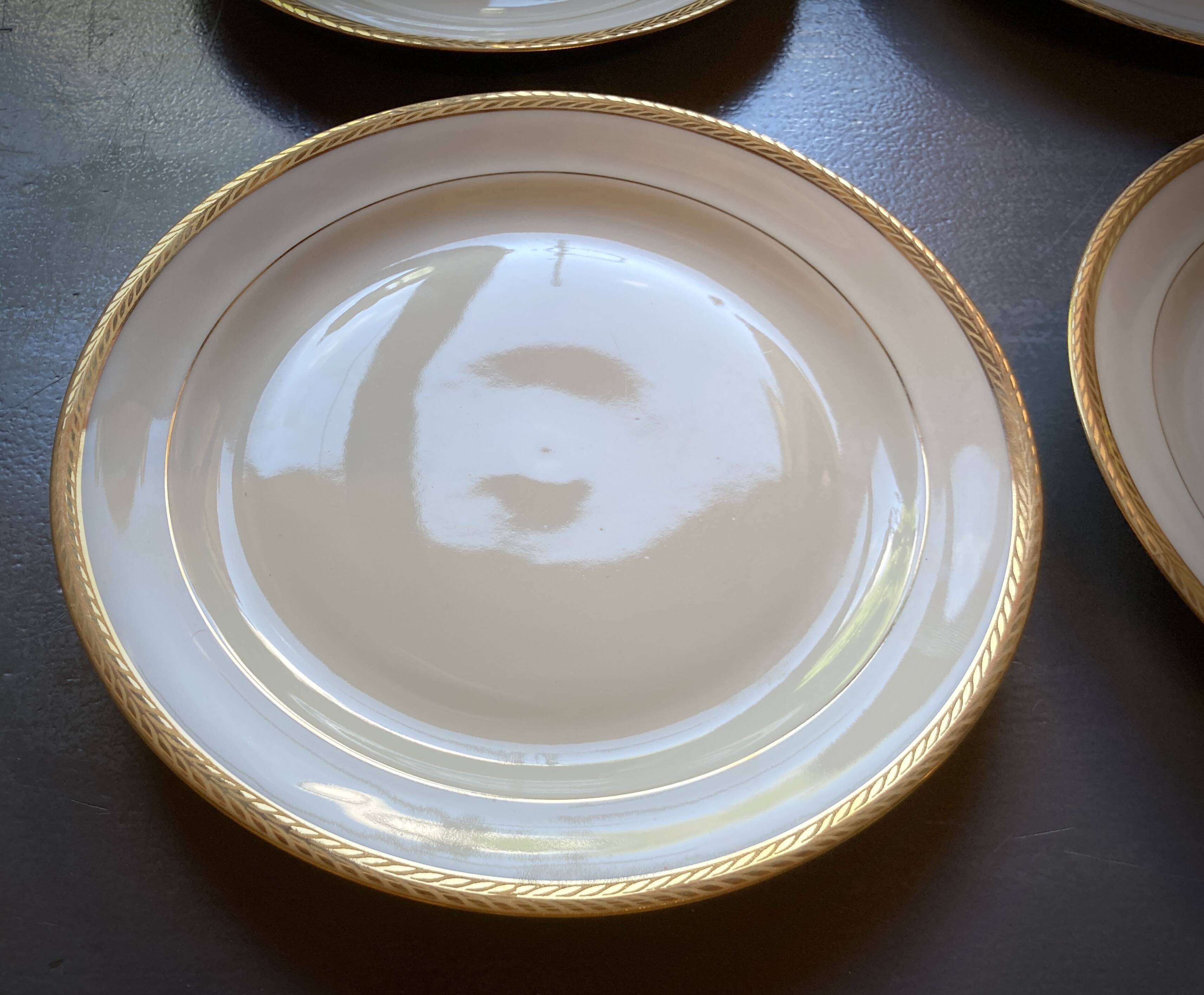 Limoges Porcelain Maison Ternet 12 pieces