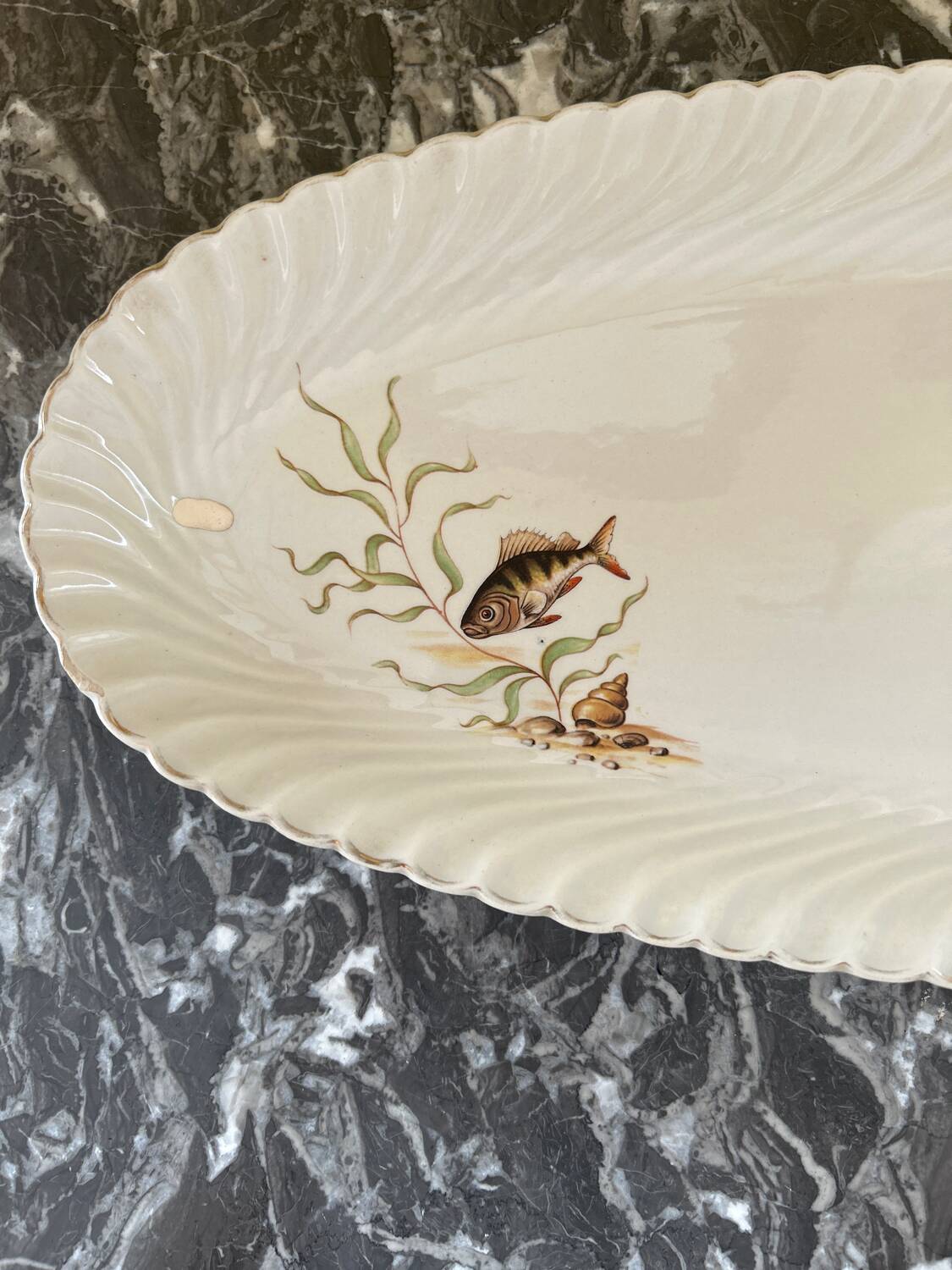 Fish dish Luneville Badonviller