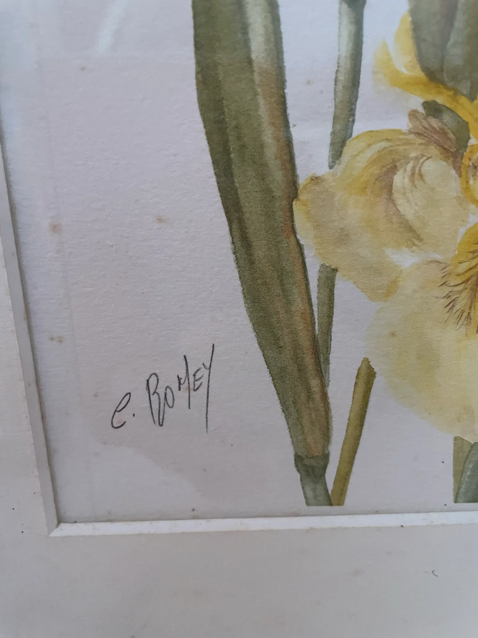 Duo d’aquarelles de Cecil Romey