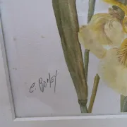 Duo d’aquarelles de Cecil Romey