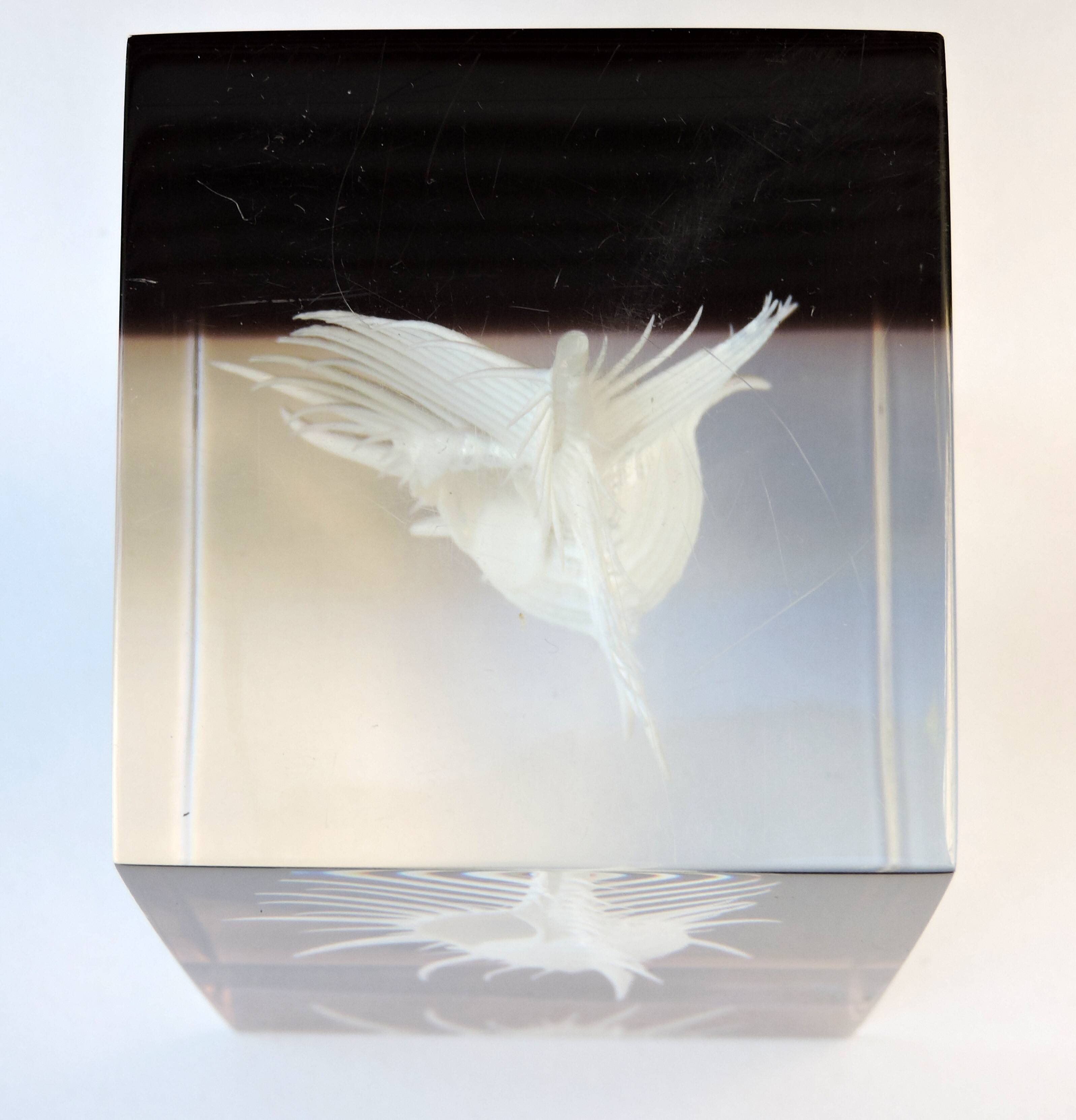 INCLUSION Vintage RESIN SHELL MUREX curiosity cabinet