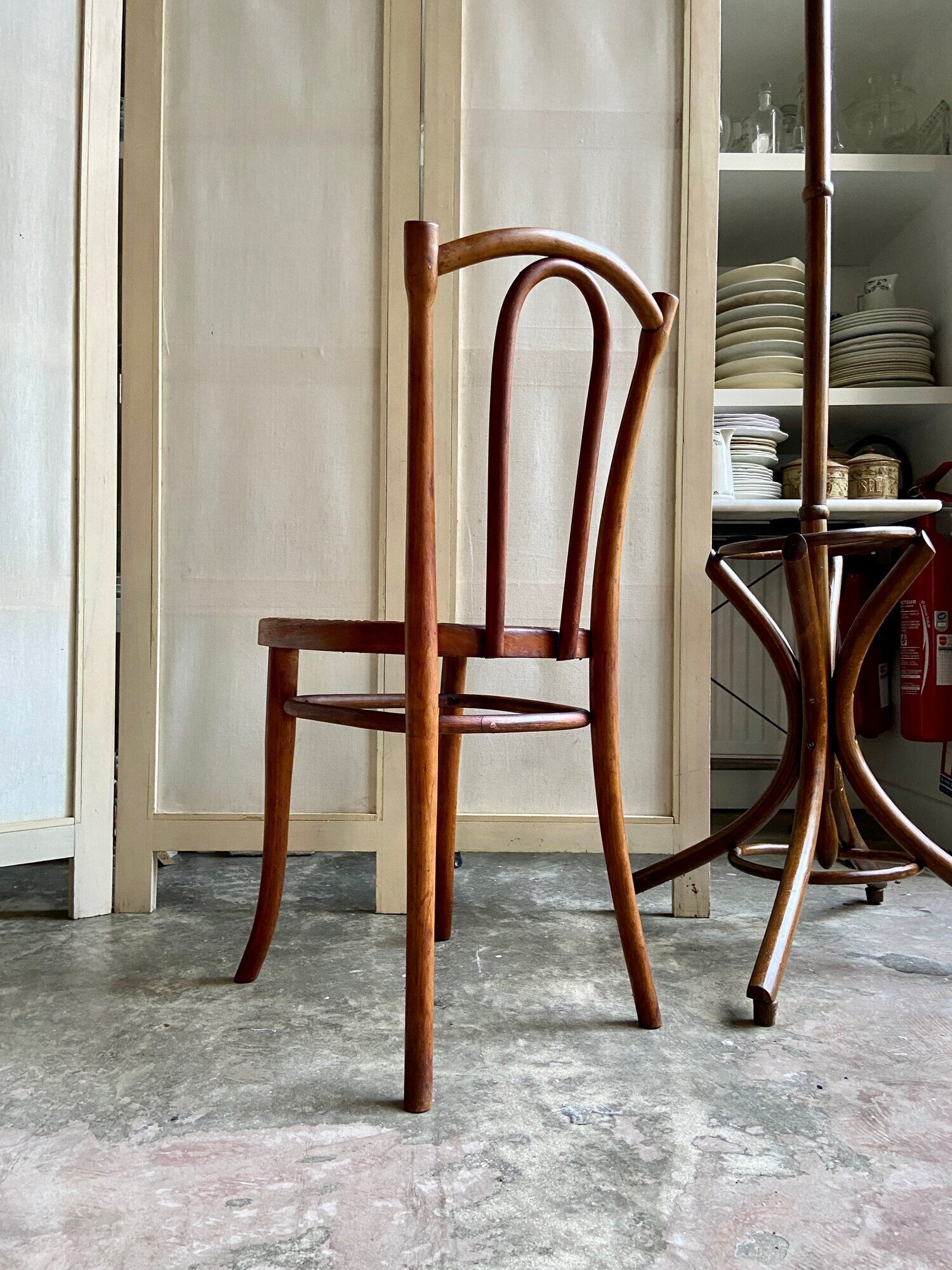 Chair 56 in arched beech and canning by Michael Thonet for Thonet Wien