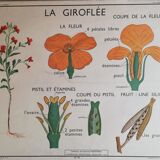 Old Rossignol school poster