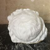 Child's head in biscuit