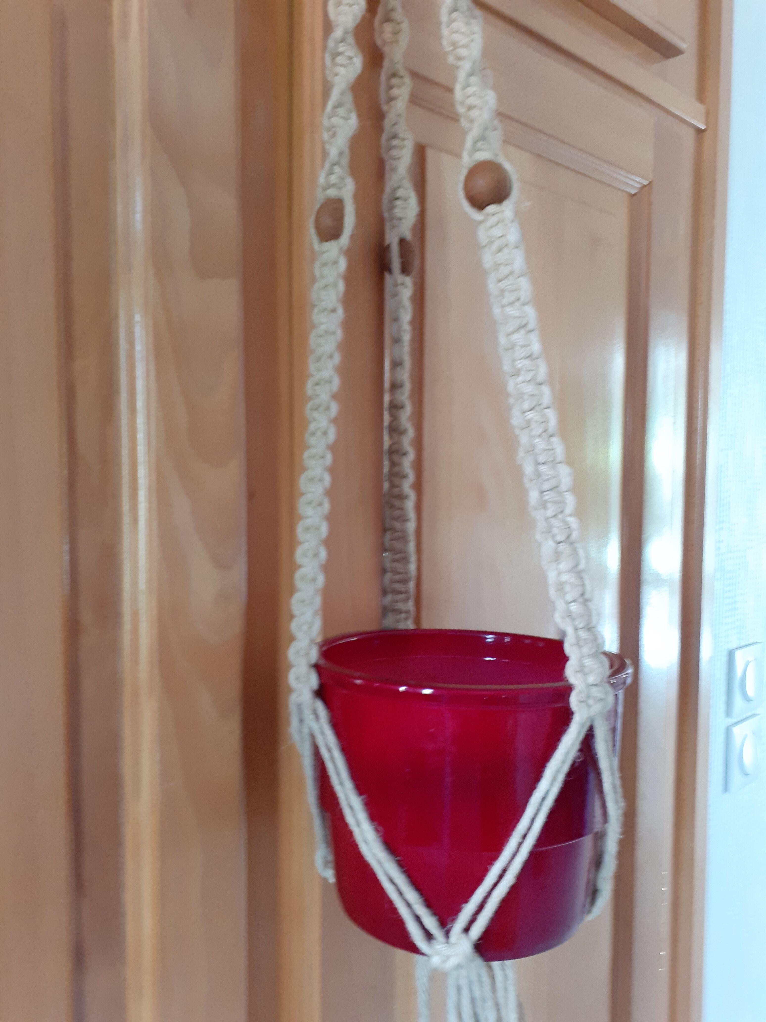 Suspension plante vintage