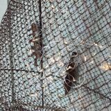 Old fishing bourriche